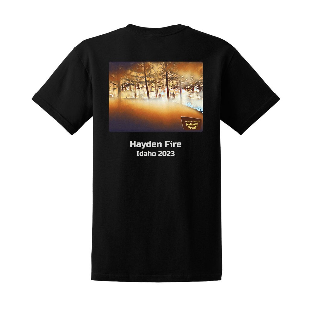 Hayden Fire v1 - Unisex Ultra Cotton T-Shirt - Gildan 2000 (Adult) - Image 4