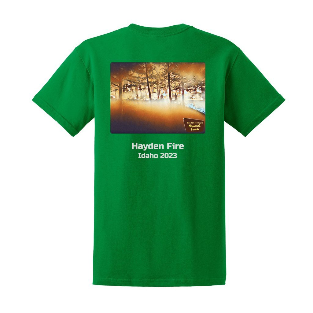 Hayden Fire v1 - Unisex Ultra Cotton T-Shirt - Gildan 2000 (Adult) - Image 6