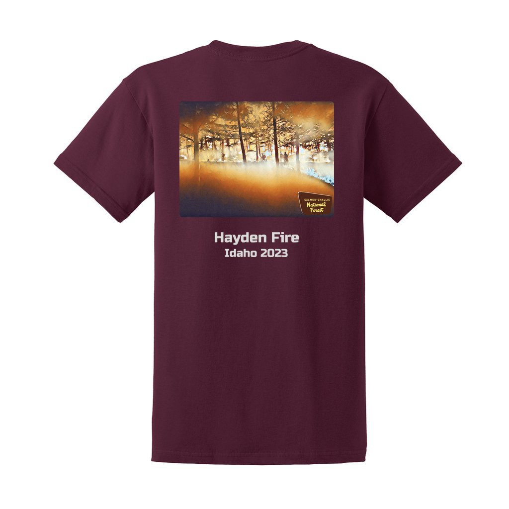 Hayden Fire v1 - Unisex Ultra Cotton T-Shirt - Gildan 2000 (Adult) - Image 2