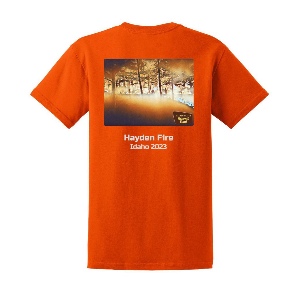 Hayden Fire v1 - Unisex Ultra Cotton T-Shirt - Gildan 2000 (Adult) - Image 10