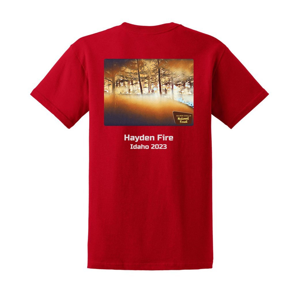 Hayden Fire v1 - Unisex Ultra Cotton T-Shirt - Gildan 2000 (Adult) - Image 12