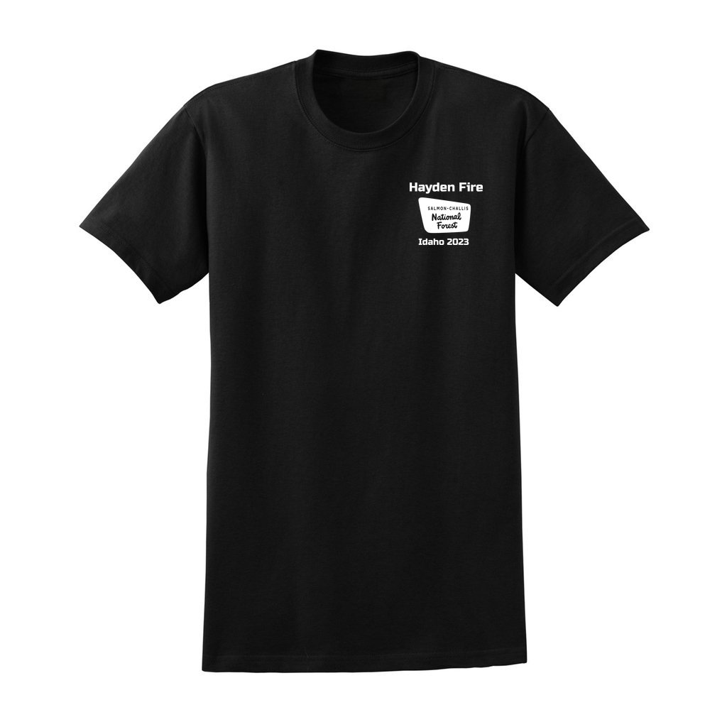 Hayden Fire v1 - Unisex Ultra Cotton T-Shirt - Gildan 2000 (Adult) - Image 3