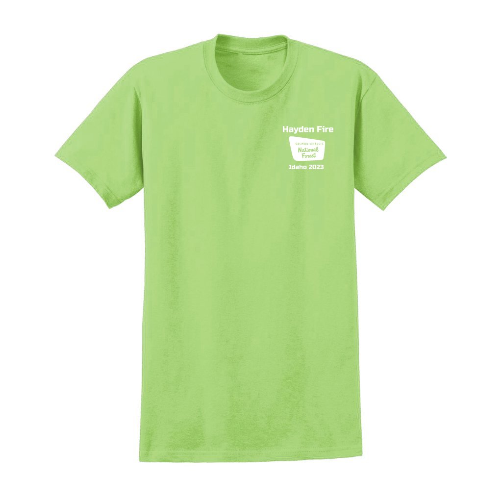 Hayden Fire v1 - Unisex Ultra Cotton T-Shirt - Gildan 2000 (Adult) - Image 33