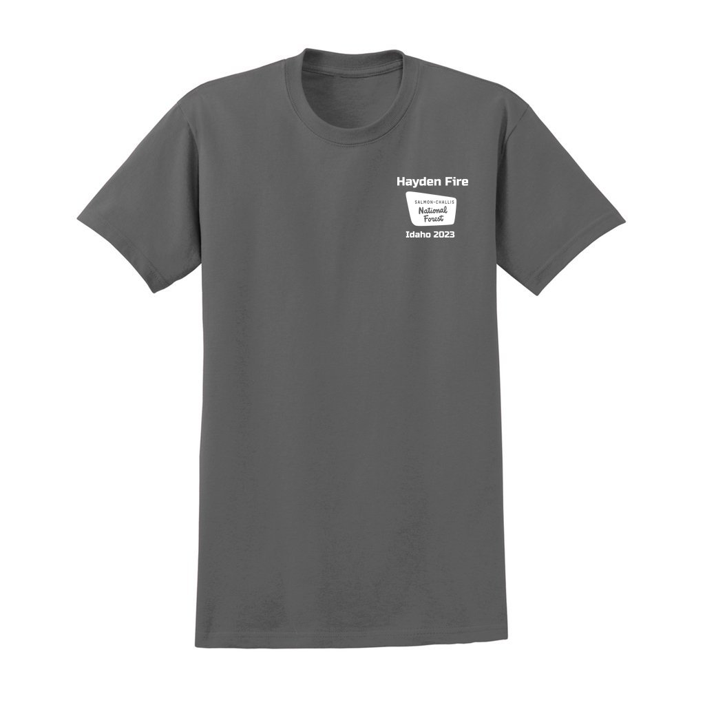 Hayden Fire v1 - Unisex Ultra Cotton T-Shirt - Gildan 2000 (Adult) - Image 21