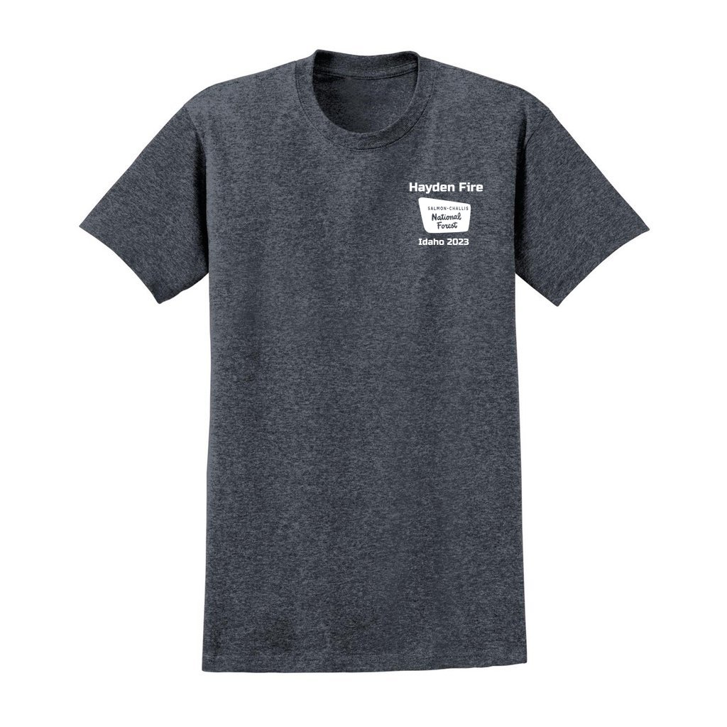 Hayden Fire v1 - Unisex Ultra Cotton T-Shirt - Gildan 2000 (Adult) - Image 17