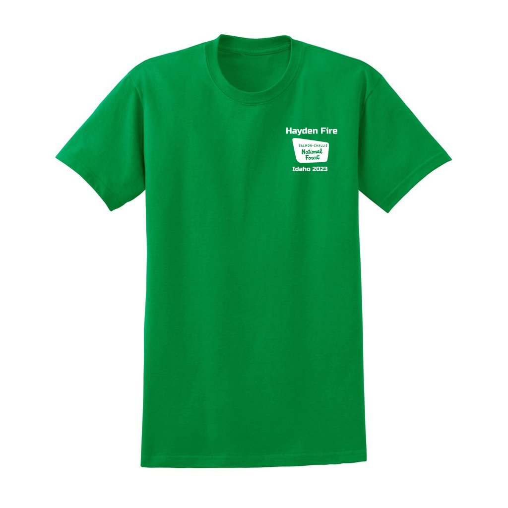 Hayden Fire v1 - Unisex Ultra Cotton T-Shirt - Gildan 2000 (Adult) - Image 5