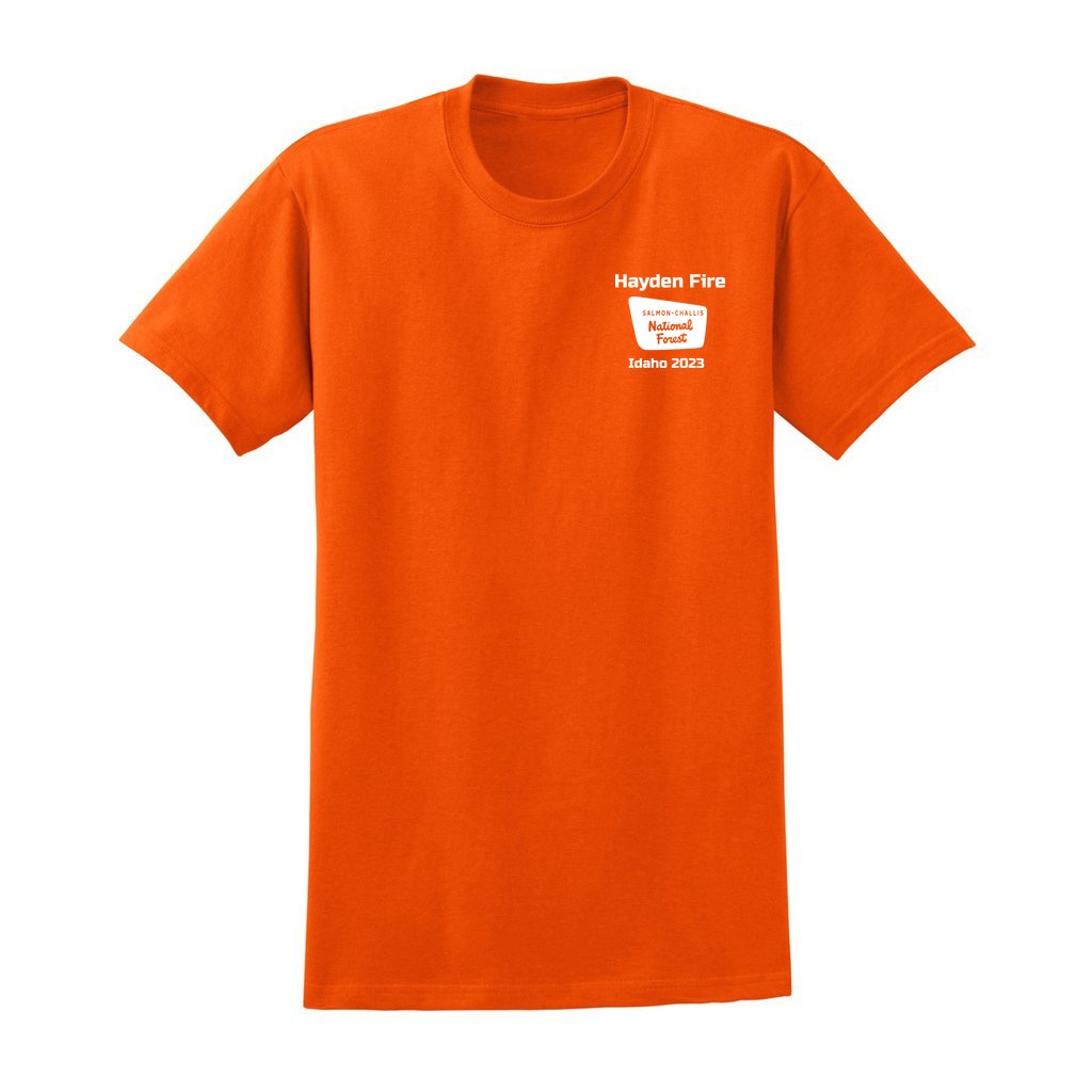 Hayden Fire v1 - Unisex Ultra Cotton T-Shirt - Gildan 2000 (Adult) - Image 9