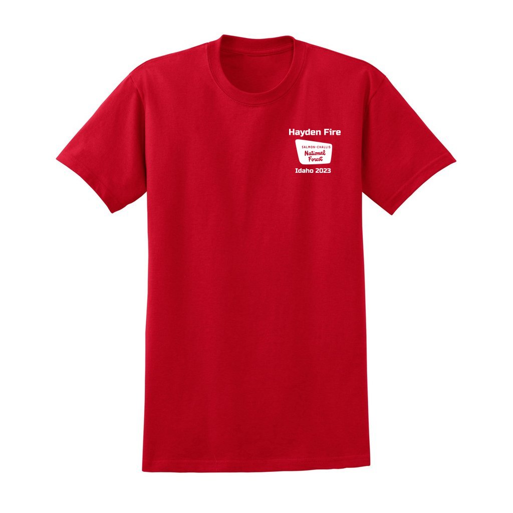 Hayden Fire v1 - Unisex Ultra Cotton T-Shirt - Gildan 2000 (Adult) - Image 11