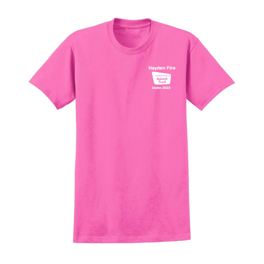 Hayden Fire v1 - Unisex Ultra Cotton T-Shirt - Gildan 2000 (Adult) - Image 31